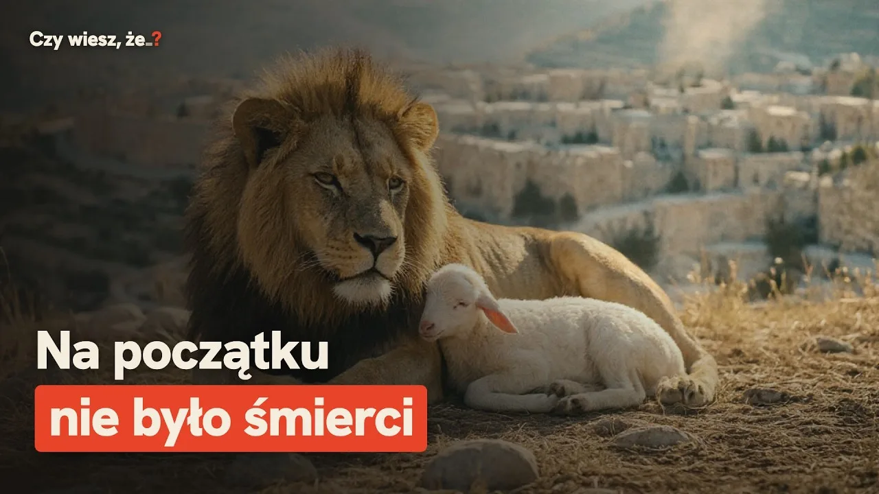 Dlaczego umieramy? Cała historia w 4 minuty – miniatura filmu