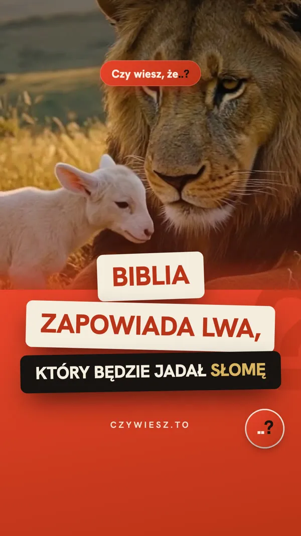 Lew będzie jadał słomę
